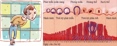 Đối phó với kinh nguyệt không đều một cách an toàn với đông y