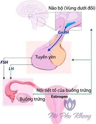 Kinh nguyệt kéo dài vì 7 nguyên nhân