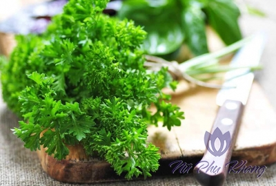 Rau mùi chữa rối loạn kinh nguyệt