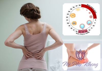 Chế ngự nỗi khổ đau lưng ngày đèn đỏ