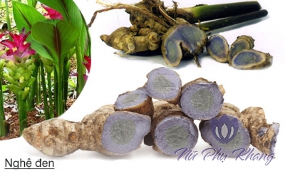 Dùng nghệ đen trị đau bụng kinh