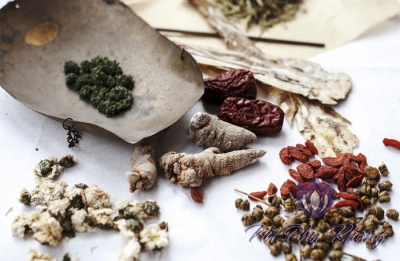 Chữa khí hư ở nữ giới trong Đông y