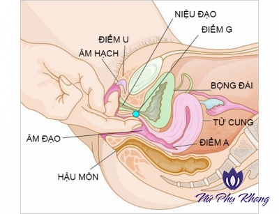 Đặt thuốc âm đạo không đúng cách: Bệnh ngày càng nặng